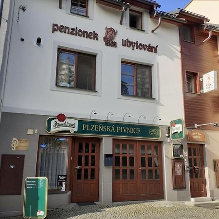 Ubytovani Nad Bisonem Hlinsko Zewnętrze zdjęcie