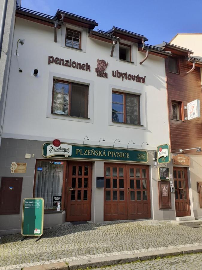 Ubytovani Nad Bisonem Hlinsko Zewnętrze zdjęcie